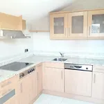 Loft Cal Richi Apartament *